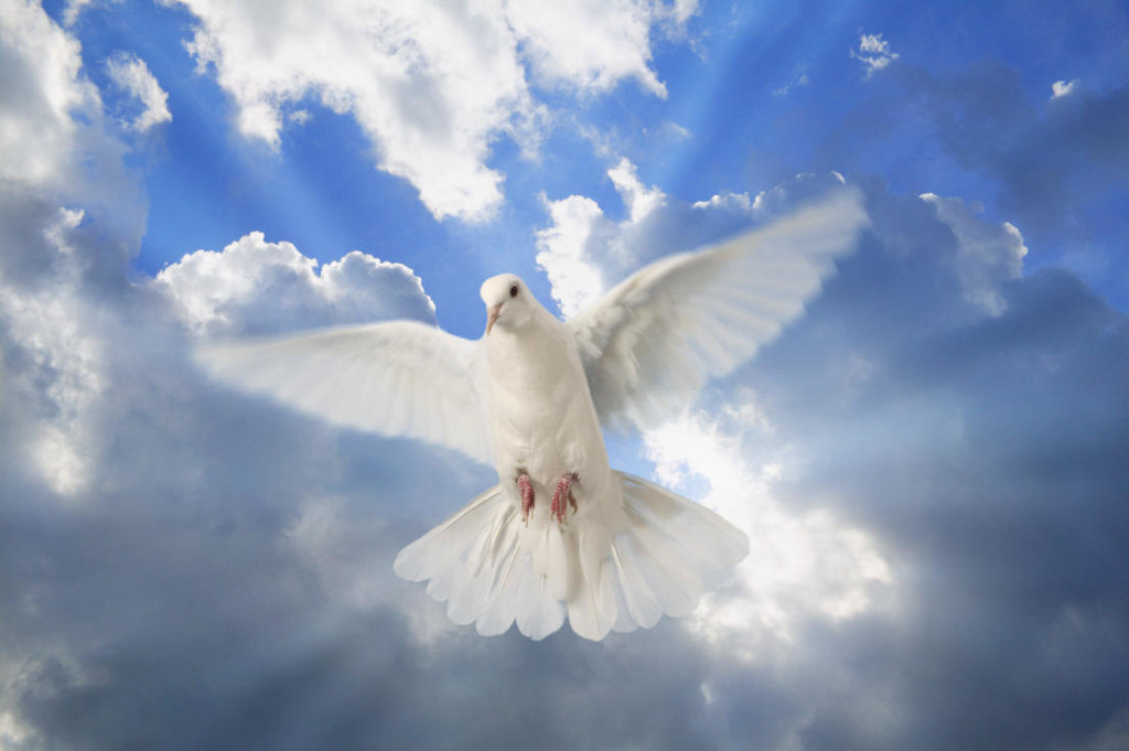 The Holy Spirit:  Our Comforter & Helper :)